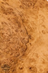 Шпон корень Дуба 0,6 А